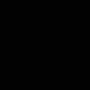 Meet your Posher, Alysha